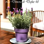 Διαμέρισμα La Dimora Di Dafne 48