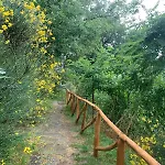 La Dimora Di Dafne 48 Διαμέρισμα *
